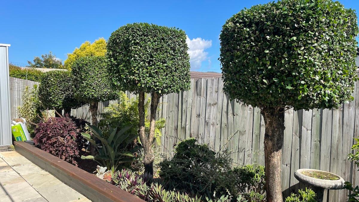 My Greenfinger QLD