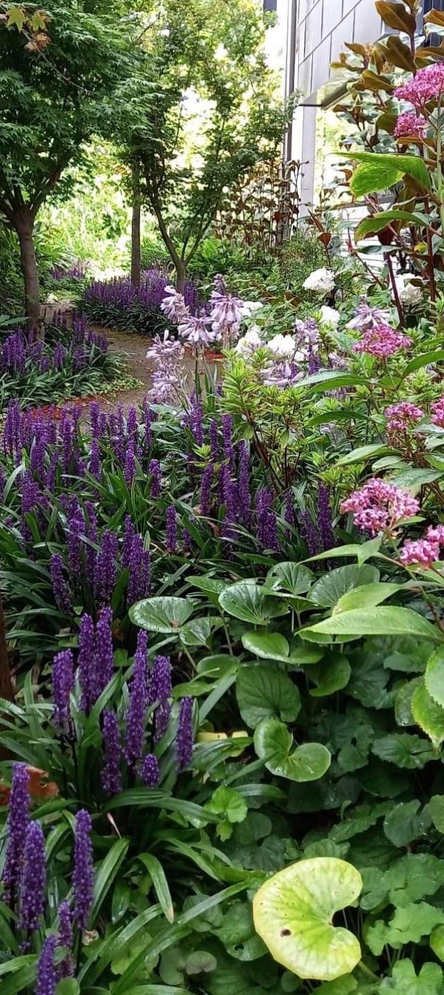 Nature's Edge Horticulture Pty Ltd