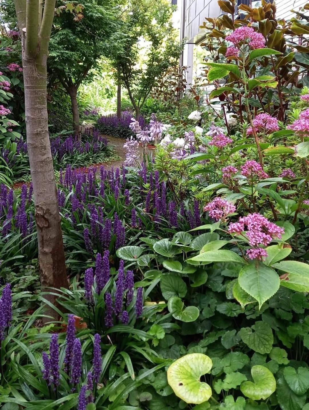 Nature's Edge Horticulture Pty Ltd