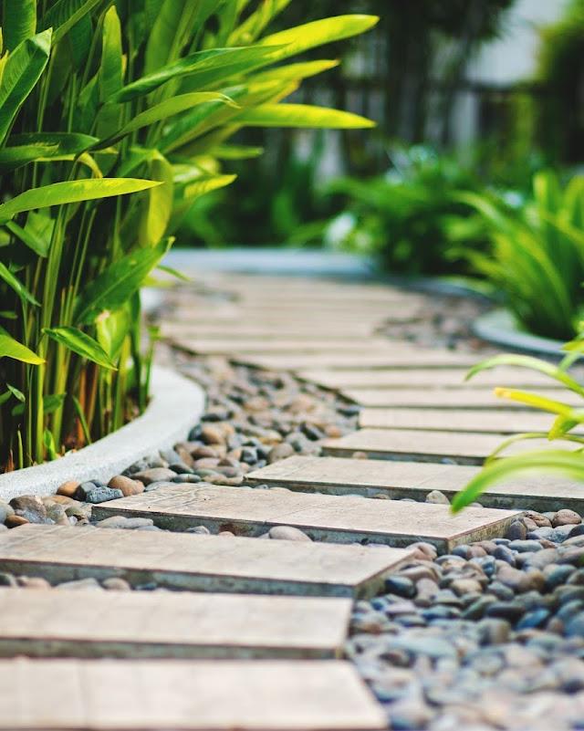 Nature's Greenscapes