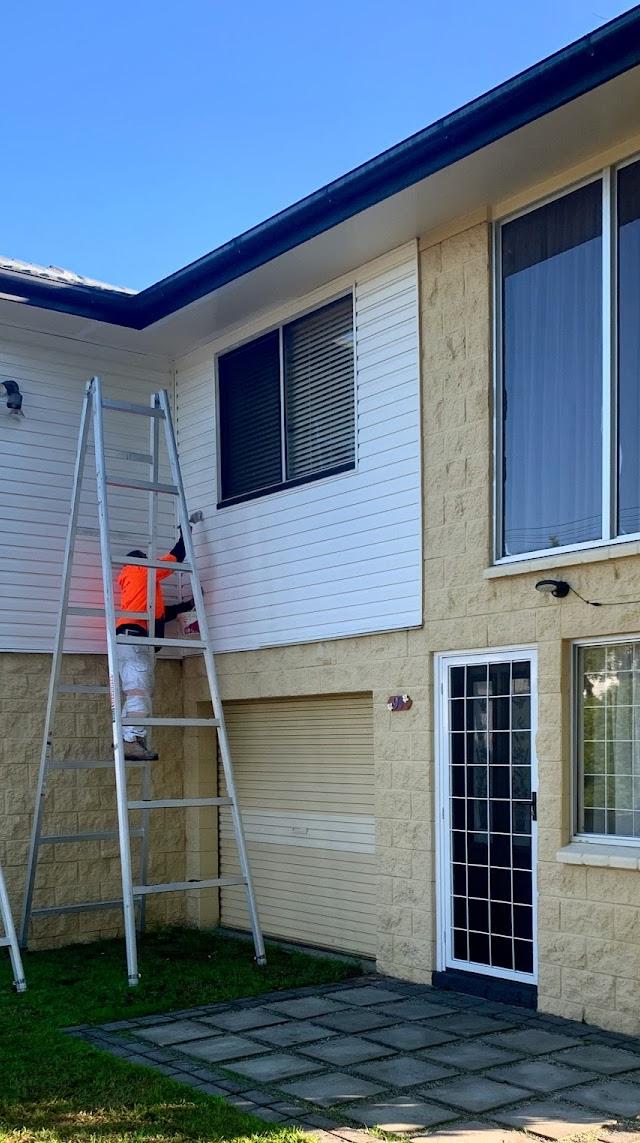 Need a Painter