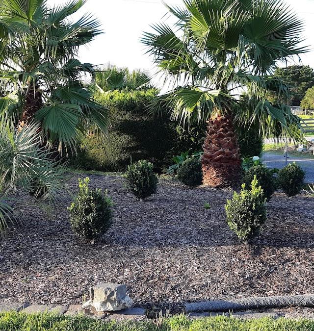 Nu-scape Landscaping