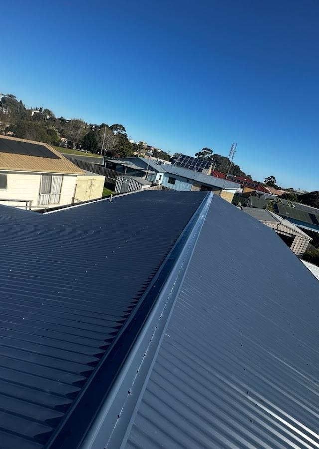 Nuggies Roofing & Plumbing