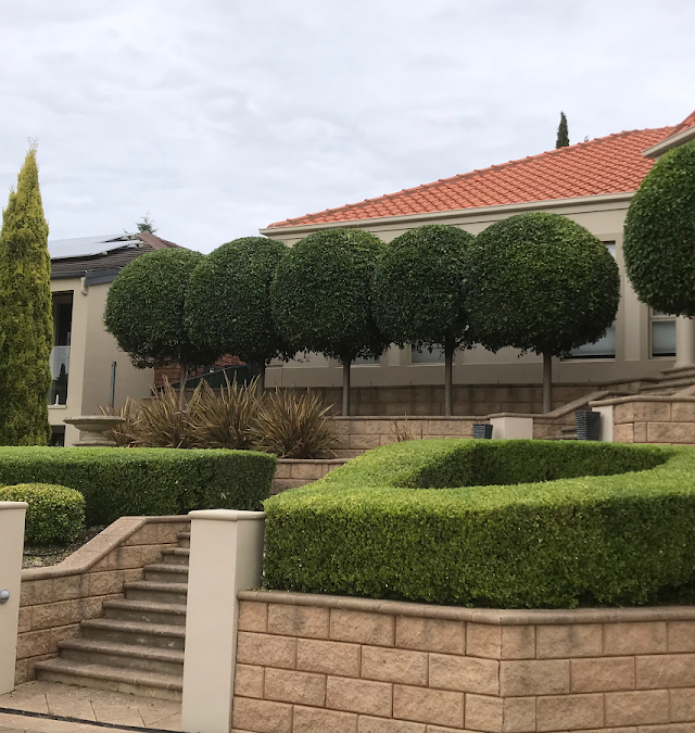 Olly Page Gardening And Property maintenance