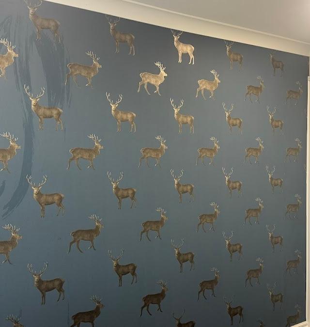 Optimum Painting & Decorating