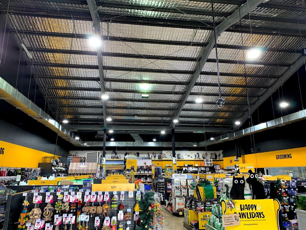 Overhead Electrical