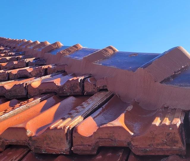 Oz Pix Discount Roof Restore