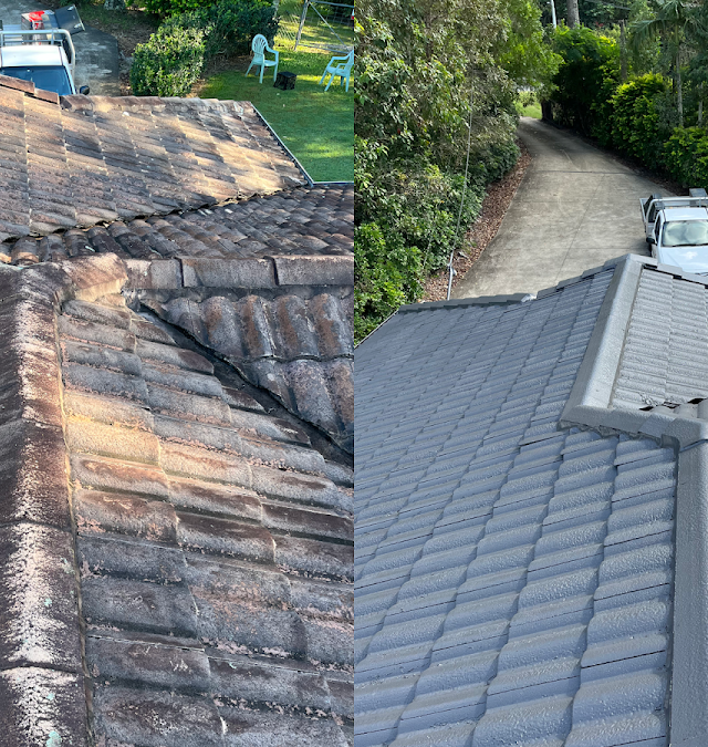 Palm Beach Handyman - Gold Coast Roof Restorations & Repairs