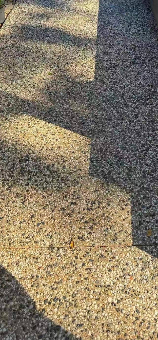Panorama Concrete Paving