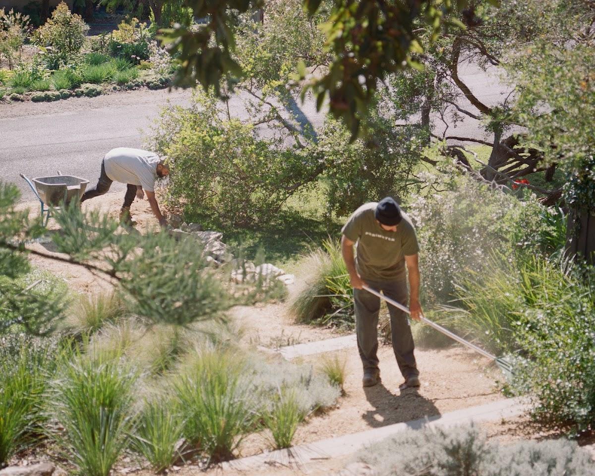 Perimeter Landscaping
