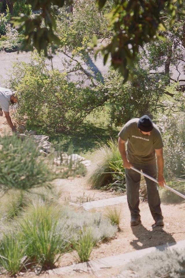 Perimeter Landscaping