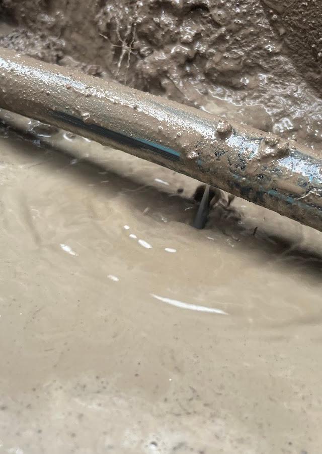 Phoenix plumbing co