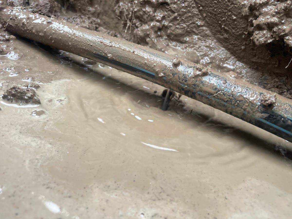 Phoenix plumbing co