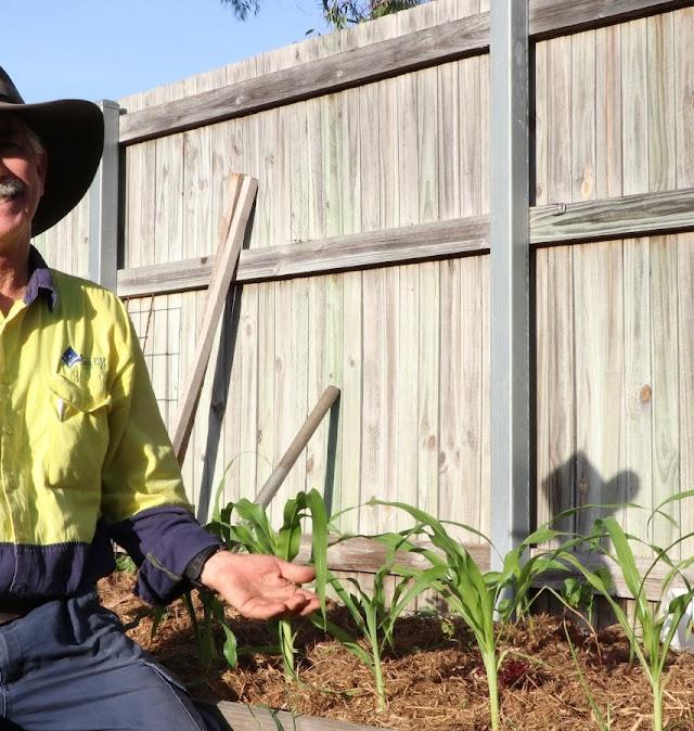 Plant-Em Townsville