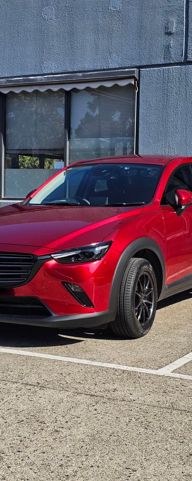 Platinum Paint Protection