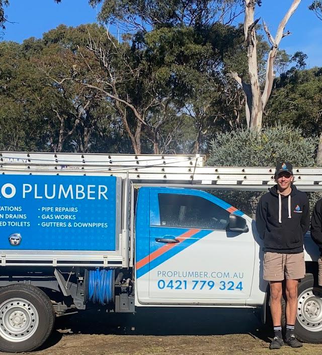 Pro Plumber