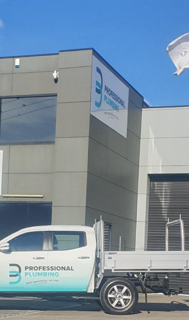 Professional Plumbing