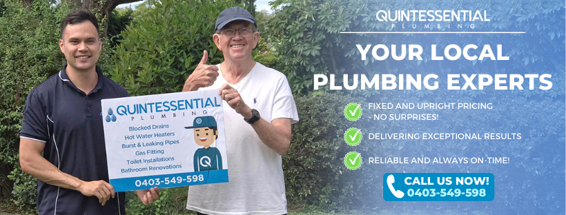 Quintessential Plumbing Loftus