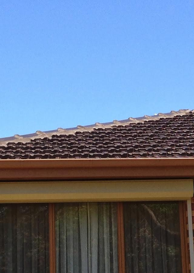Rainshield Roofing