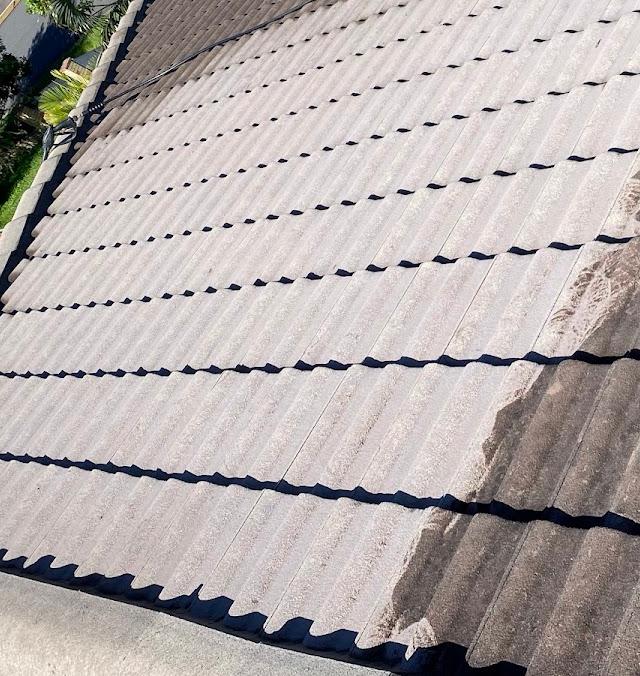 Red Dog Roofing Co