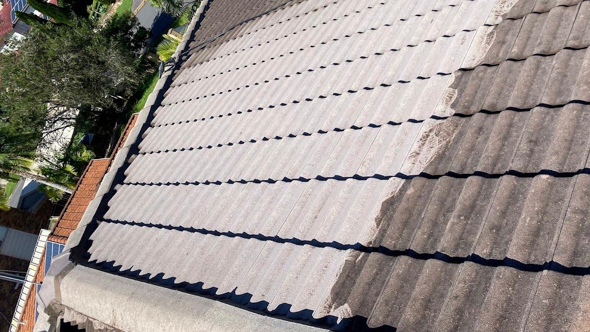 Red Dog Roofing Co