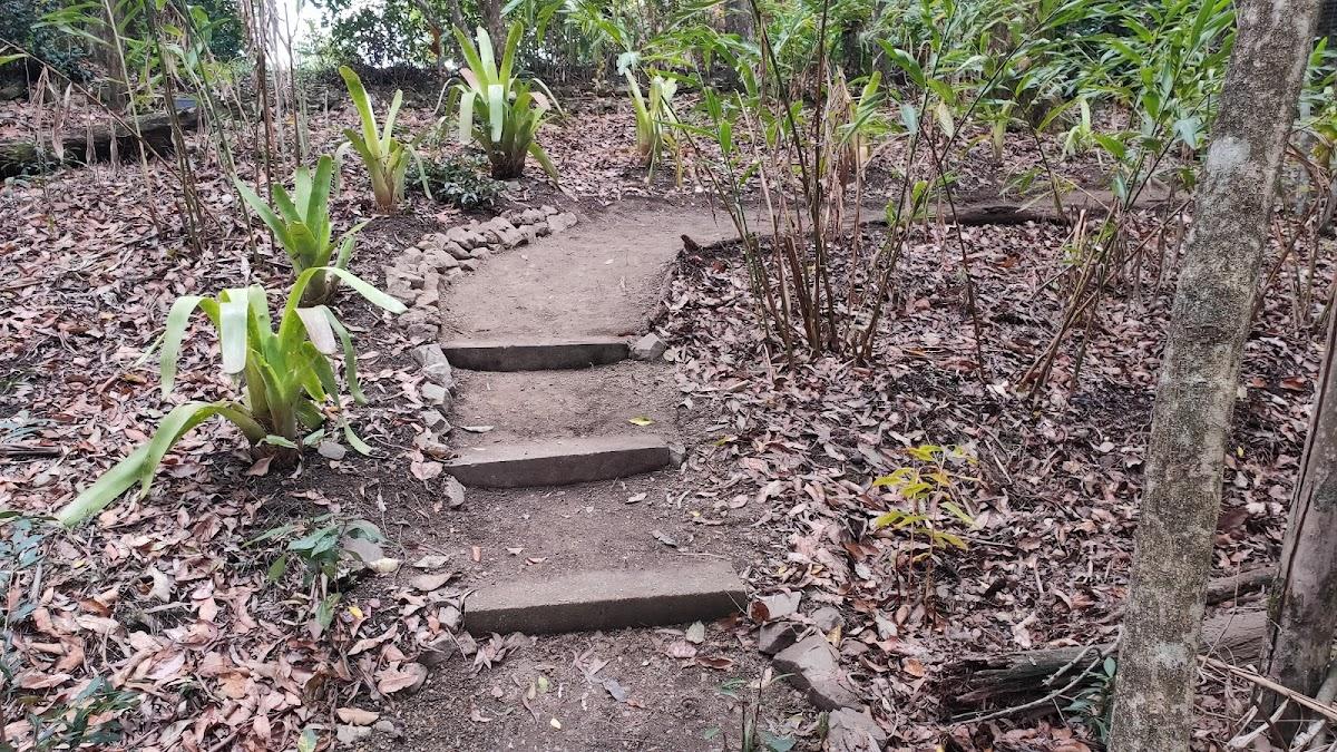 Refined Gardens and Landscaping