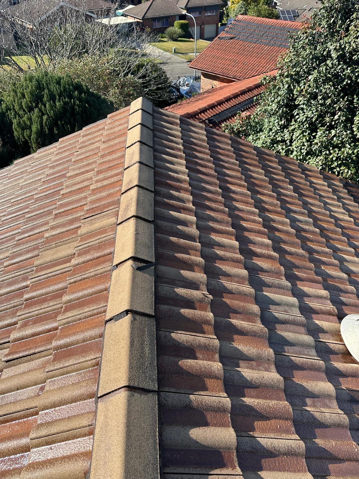 Reliance Roof Restoration Greater Western Sydney