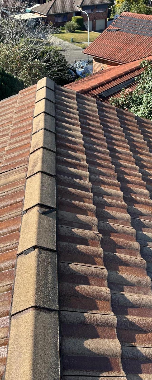 Reliance Roof Restoration Greater Western Sydney