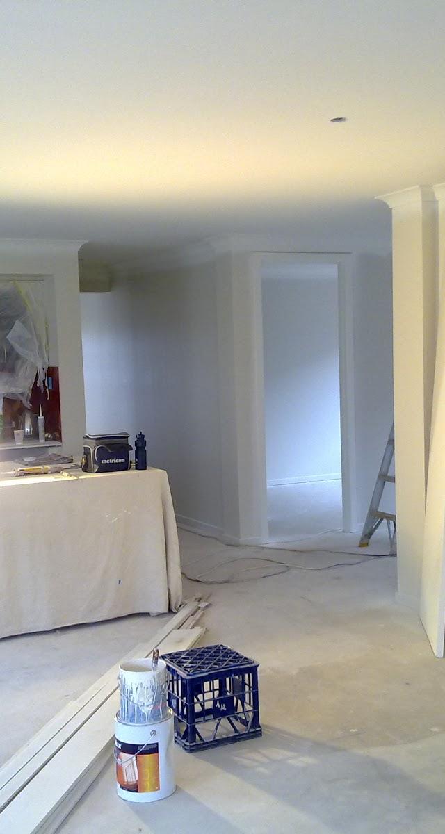 Renovation Painting