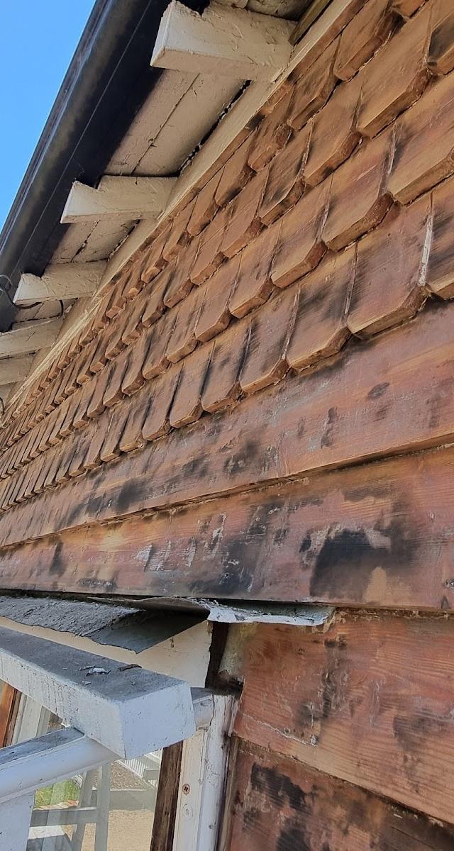 Rodgers Painting and Restorations
