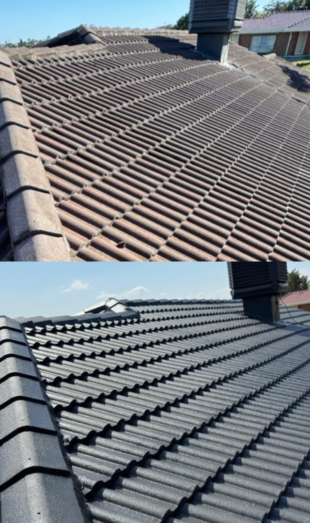 Roof Guard SA