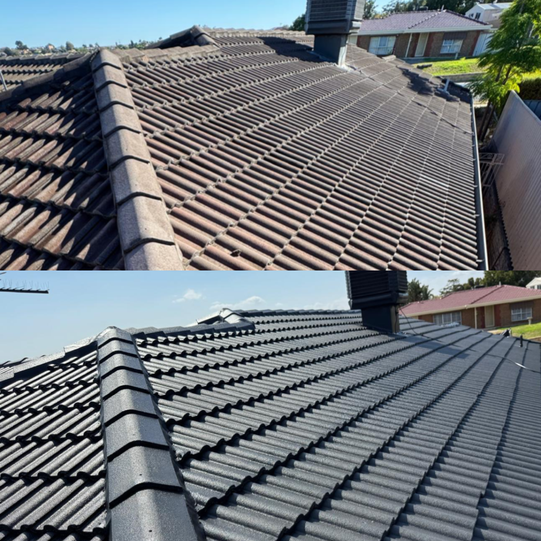 Roof Guard SA