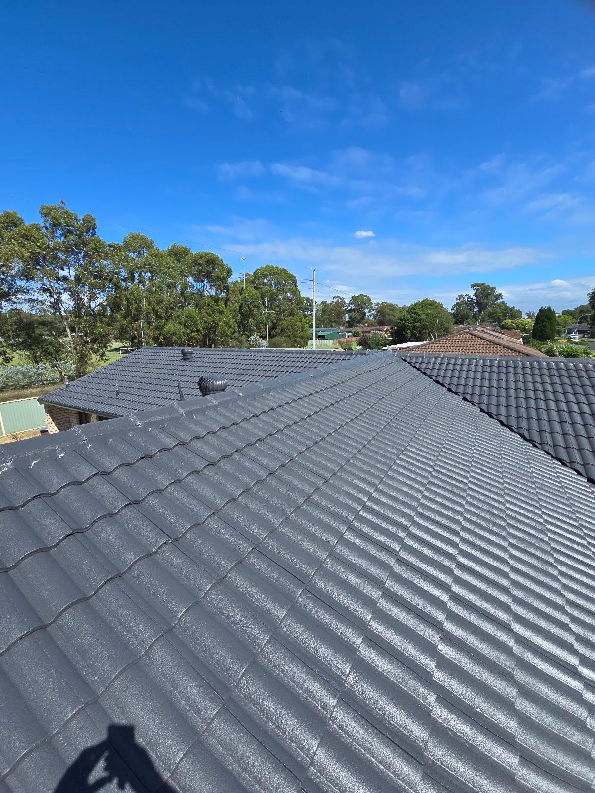 Roof N Clean