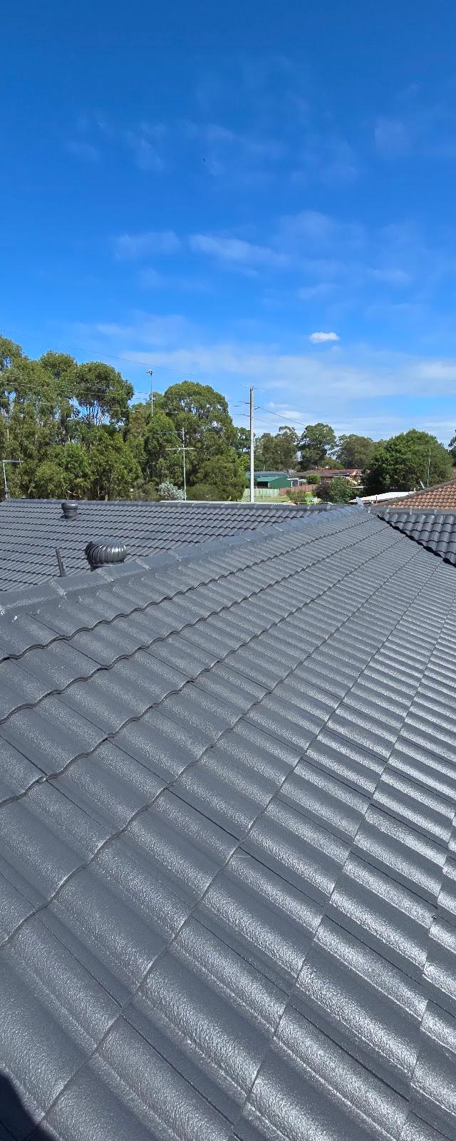 Roof N Clean