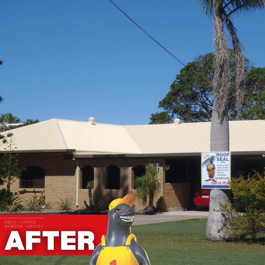 Roof Seal FNQ