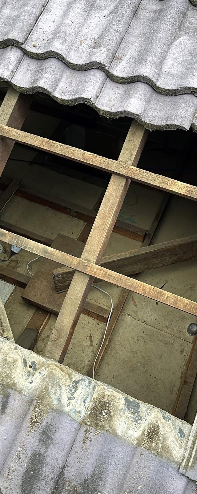 roofvac