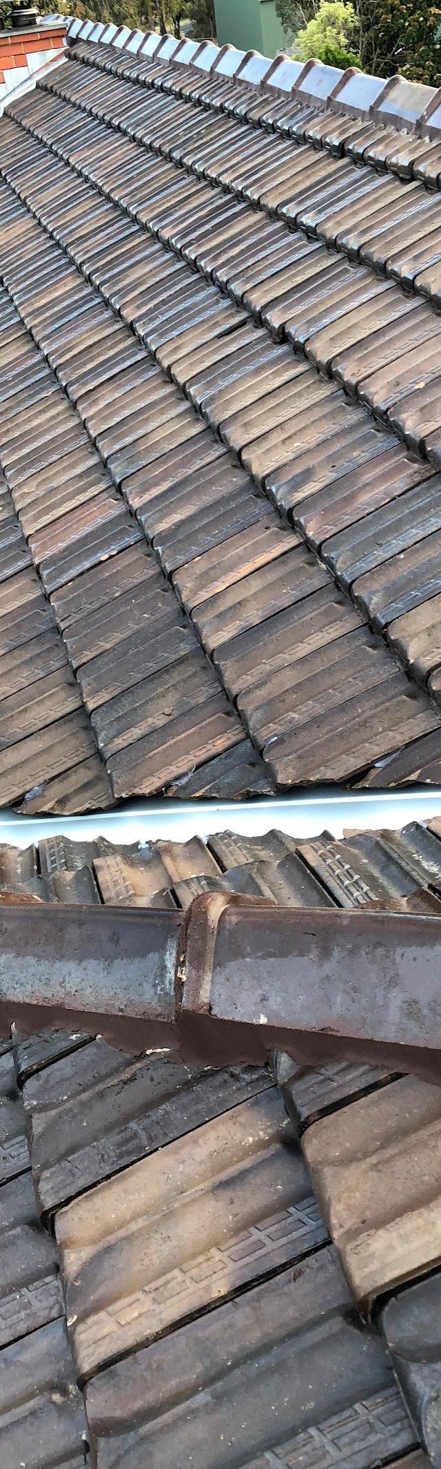 Ross the Roofer