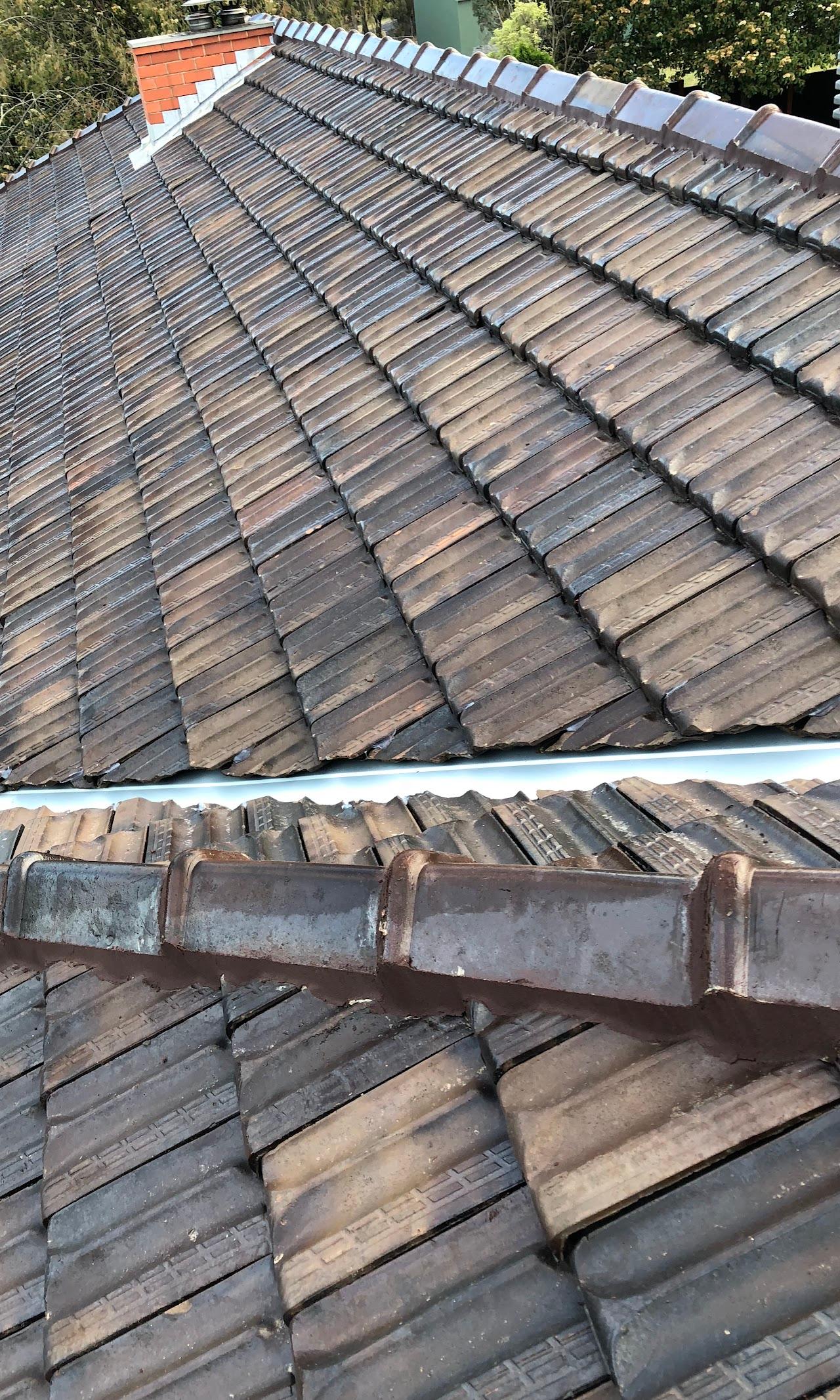 Ross the Roofer