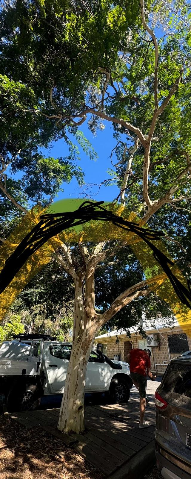 russell island block clearing tree lopping building services