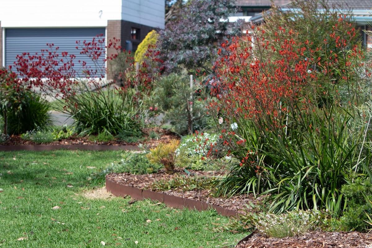 Salty Coast Landscaping