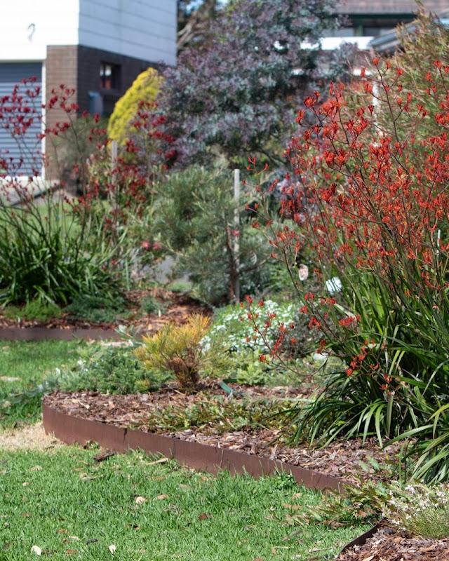 Salty Coast Landscaping