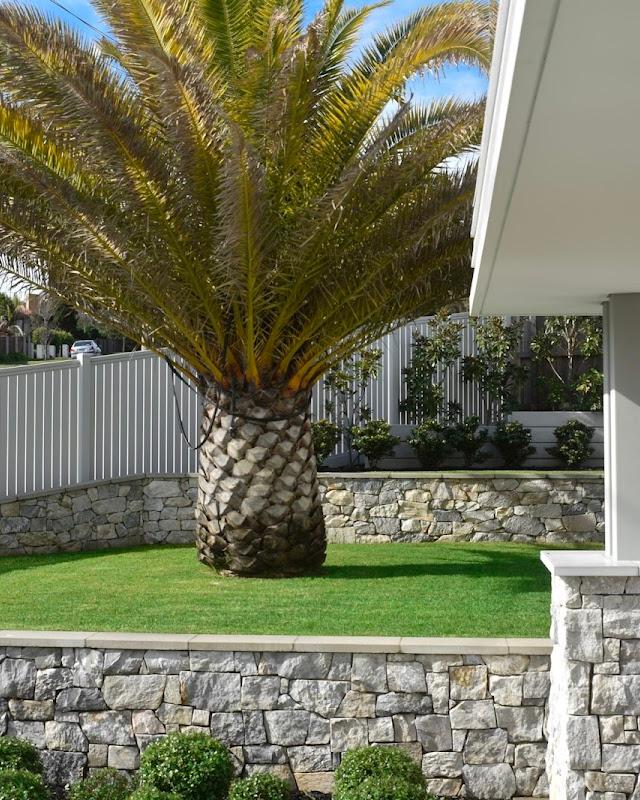 Scape To Scope Landscaping