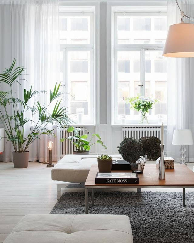 Smart Choice Painting Services