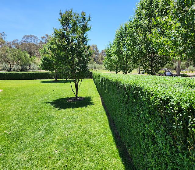 Stevens Corporate Gardening