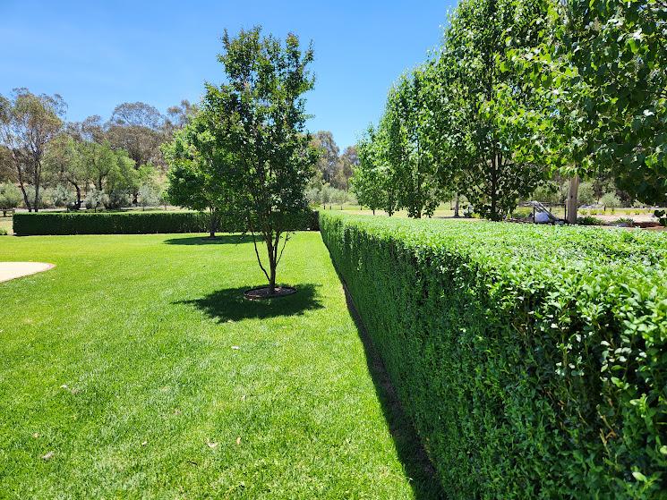 Stevens Corporate Gardening