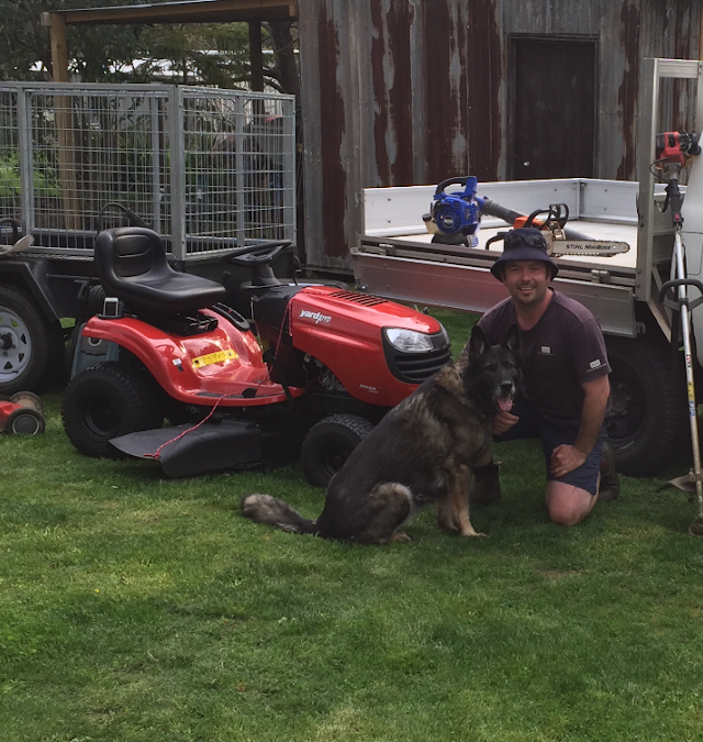 Sunny Days Lawn Mowing & Landscaping