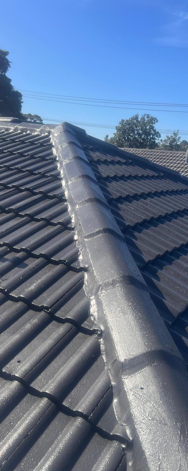 Super star roof restoration