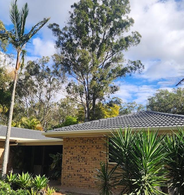 Switch Roofing