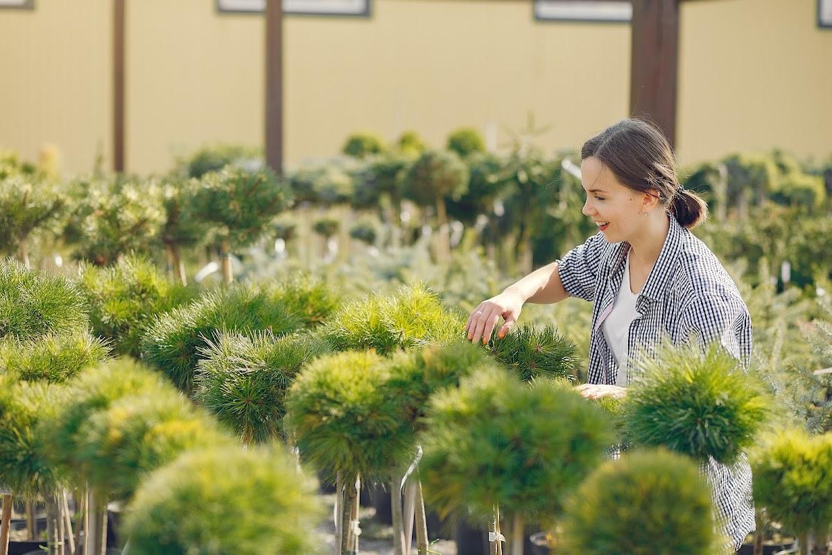 Sydney Gardening Group