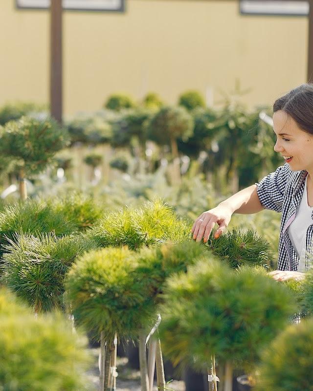 Sydney Gardening Group